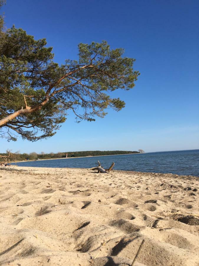 Вілла Ferienhaus Anker Zudar Екстер'єр фото